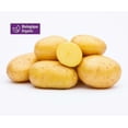 thumbnail image 1 of Your Fresh Market Organic Yellow Potatoes, 3 lb / 1.36 kg, 1 of 8