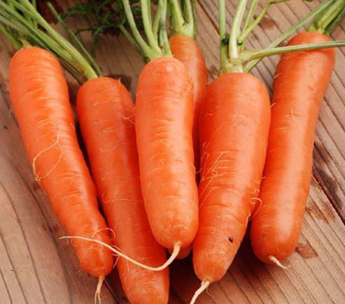 Nantaise Carrots, Carrots