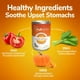 Fruitables SuperBlend Complément Alimentaire Digestif Citrouille Chien Boîte de 425g – image 2 sur 6