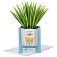 thumbnail image 1 of Hallmark Paper Wonder All Occasion Pop Up Card (Potted Spider Plant), 1 of 6