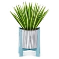 thumbnail image 2 of Hallmark Paper Wonder All Occasion Pop Up Card (Potted Spider Plant), 2 of 6