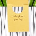 thumbnail image 3 of Hallmark Paper Wonder All Occasion Pop Up Card (Potted Spider Plant), 3 of 6
