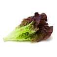 thumbnail image 2 of Lettuce, Red Leaf, Sold in singles, 2 of 3