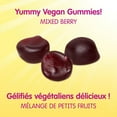 thumbnail image 4 of Sesame Street Healthy Tummy Probiotic, 4 of 8