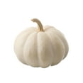 thumbnail image 1 of Pumpkin, White, 1 of 2