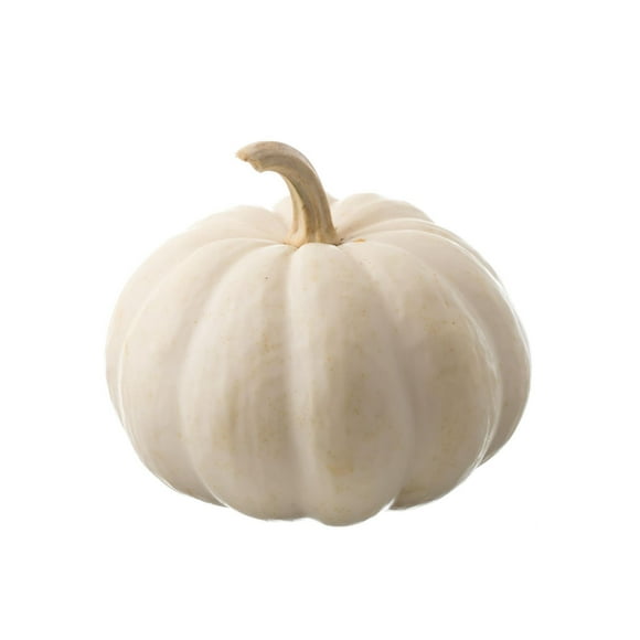 Citrouille blanche