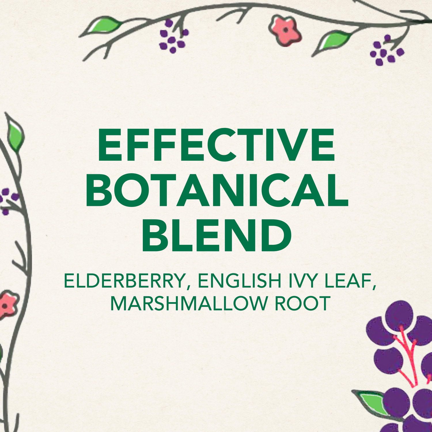 Vicks Children's BOTANICALS Multi-Symptom, Daytime Syrup, Botanical Blend with Marshmallow Root, Elderberry, & Ivy Leaf, Used in Herbal Medicine to Help Relieve Sore Throat, Relieves Coughs & Chest Congestion, Berry Flavour, For Children Ages 2-13, 118ML