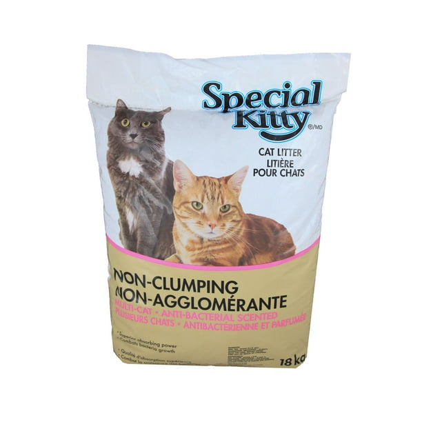 Special Kitty NonClumping CAT Litter Walmart.ca