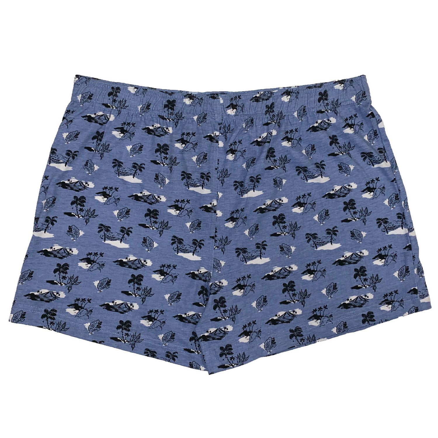 Boxers Under Disguise pour hommes, paq. De 2