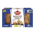 thumbnail image 1 of Dempster’s® Blueberry Muffin Tops, 1 of 6
