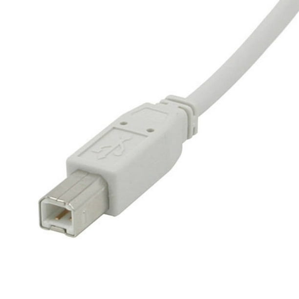 Câble USB 2.0 AB de 5 m (blanc)