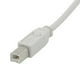 Câble USB 2.0 AB de 5 m (blanc) – image 1 sur 2