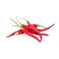 thumbnail image 1 of Hot Pepper, Thai Chili, 1 of 1