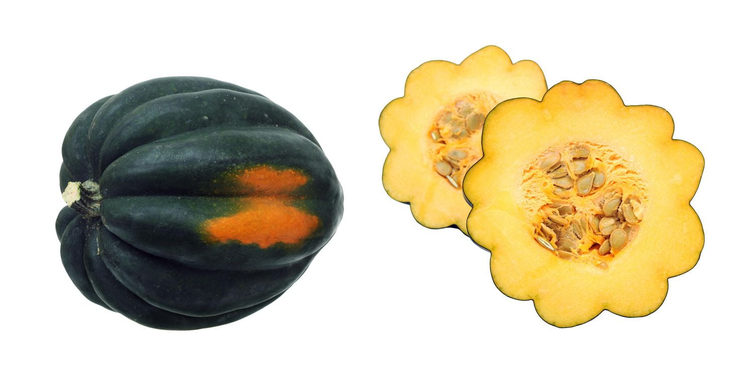 Squash, Acorn, Sold in singles, 0.60 - 0.84 KG