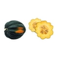 thumbnail image 3 of Courge, gland, Vendue individuellement, 0.60 - 0.84 KG, 3 of 3