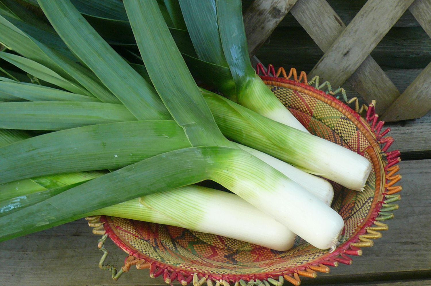 Leeks, Sold as singles