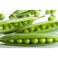 thumbnail image 3 of Pois anglais, 3 of 3