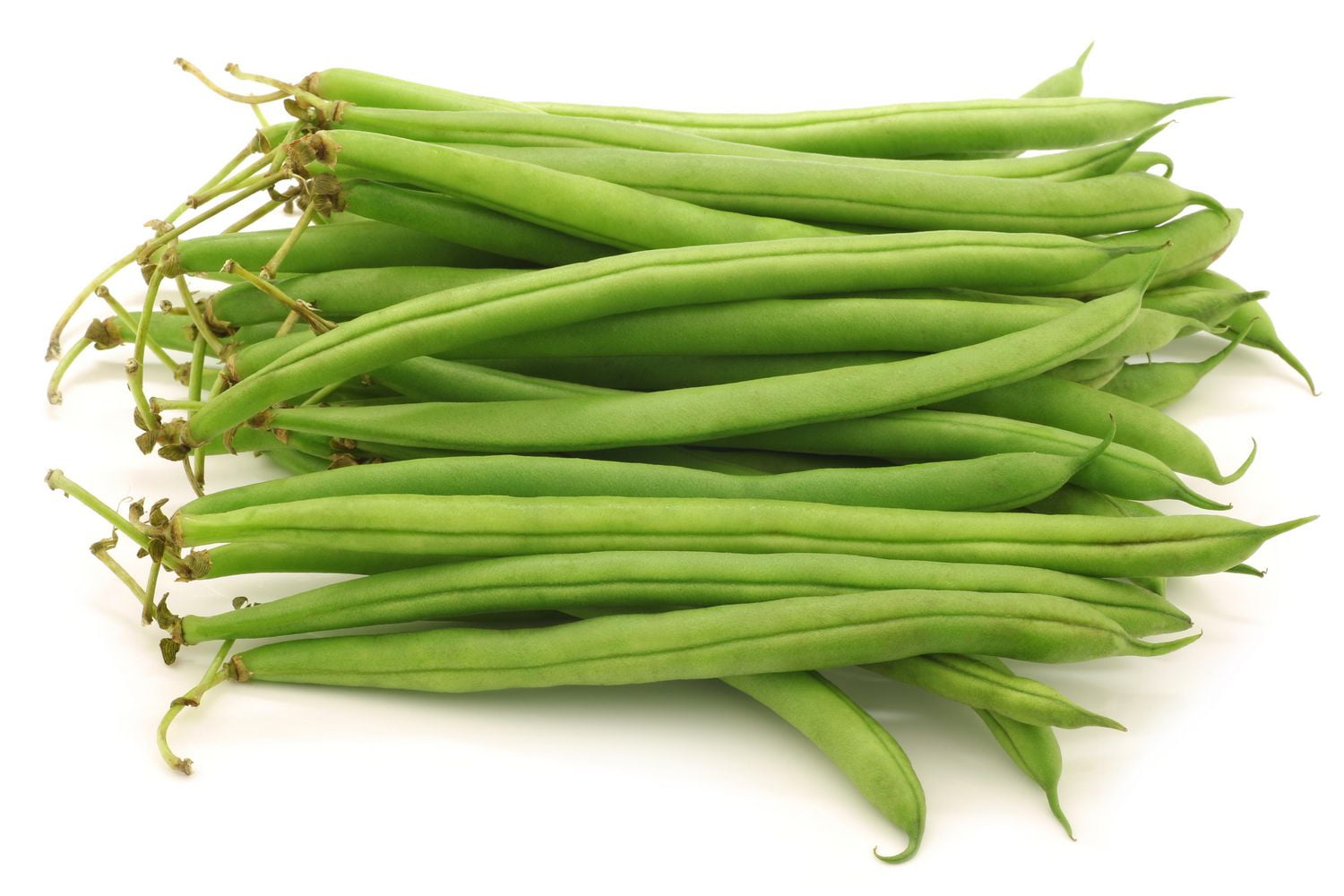 Green Beans, 24 oz, 0.67 - 0.68 KG