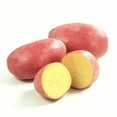 thumbnail image 3 of Pomme de terre, jaune, 3 of 3