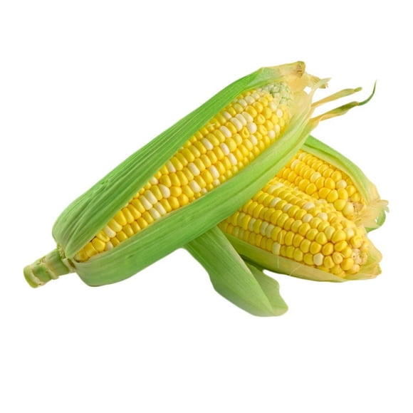 Corn on the cob, Sold in singles