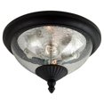 thumbnail image 1 of Aurora Carver 2-Light Black Outdoor Wall Lantern, 1 of 1