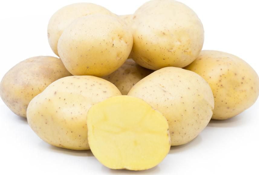 Pommes de Terre Bio Jaunes Miniatures