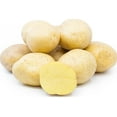thumbnail image 1 of Mini Yellow Potatoes, 1 of 3