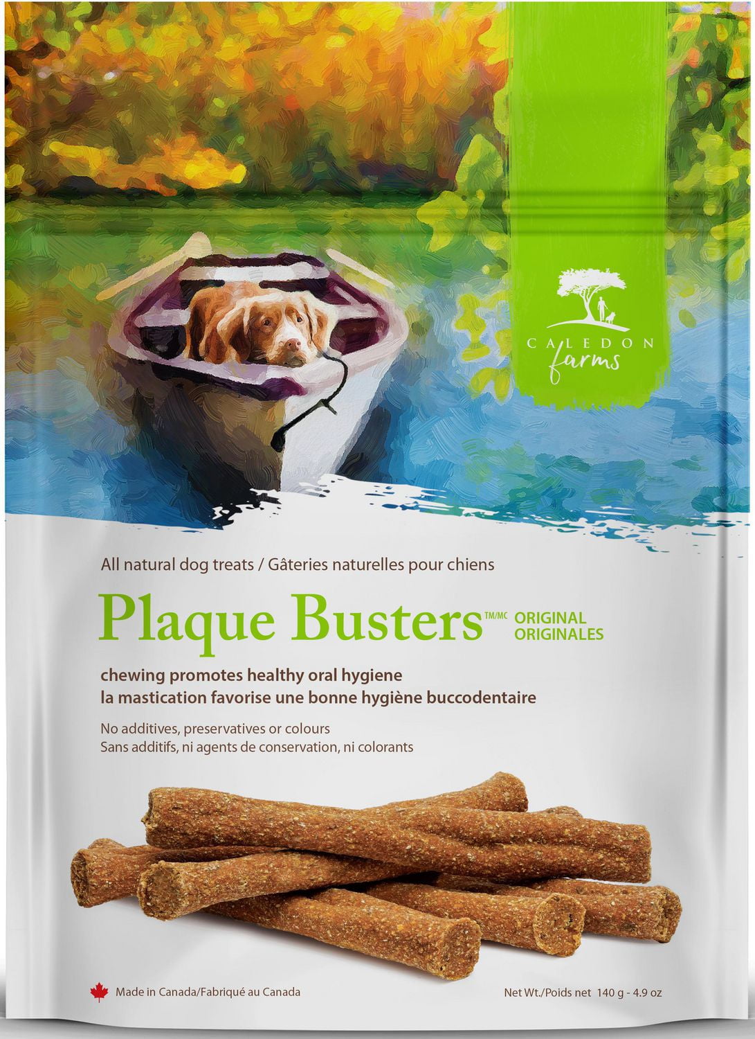 hypoallergenic dogs for apartments