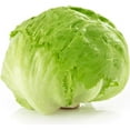thumbnail image 2 of Organic Iceberg Lettuce Foxy, 2 of 3