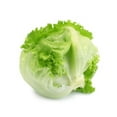 thumbnail image 3 of laitue iceberg biologique, 3 of 3