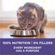 Purina ONE +Plus Contrôle des Boules de Poils Poulet, Nourriture Sèche pour Chats 1,8 kg 1,8 kg – image 5 sur 9