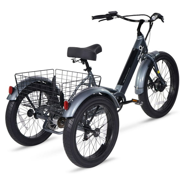 Personnalisé Deux Personnes Mobilité Électrique Tricycle