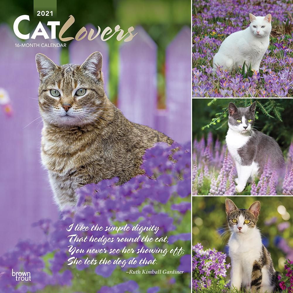 Cat Lovers 2021 12 x 12 Inch Monthly Square Wall Calendar with Foil