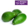 thumbnail image 1 of Avocado, Organic, 1 of 1