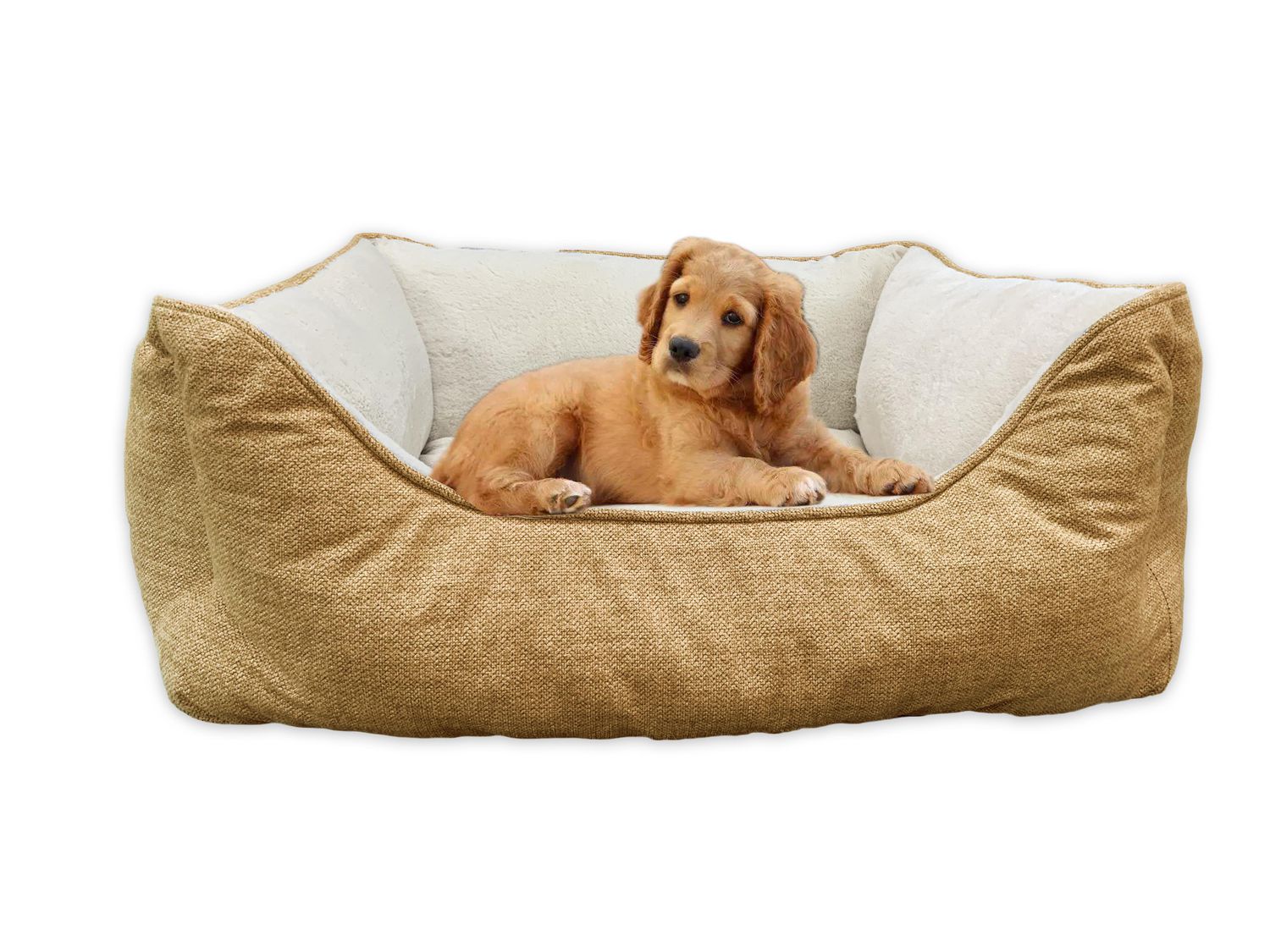 Walmart vibrant hot sale life dog bed