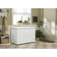 thumbnail image 2 of Danby Designer Energy Start 10.2 cu.ft. capacity chest freezer, 2 of 6