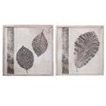 thumbnail image 1 of Encadré Bois Wall Art (Feuilles) (20 X 20) (Asstd), 1 of 1