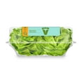 thumbnail image 2 of Butter Lettuce, Pack of 2, 2 of 2