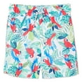 thumbnail image 1 of George Toddler Boys' Swim Short, 1 of 2