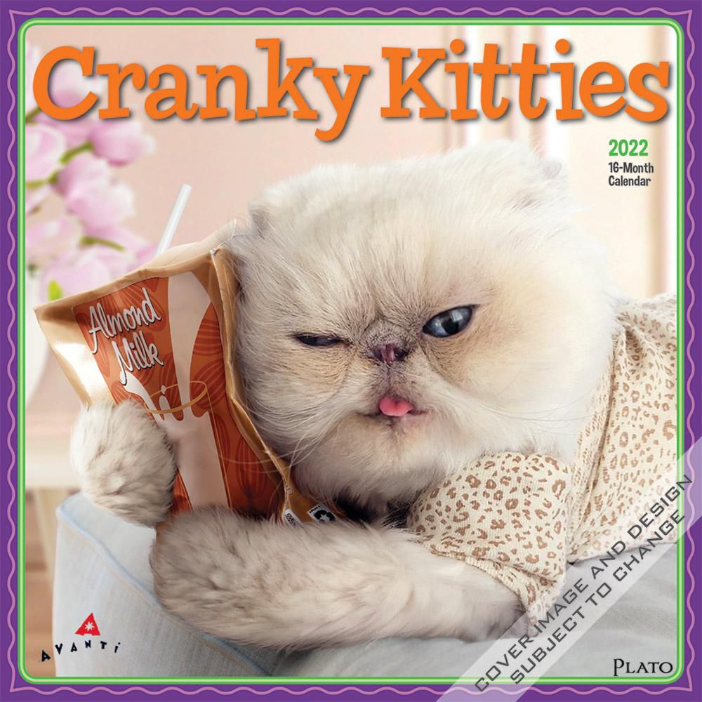 BrownTrout Publishers Avanti Cranky Kitties 2022 12 x 12 Inch