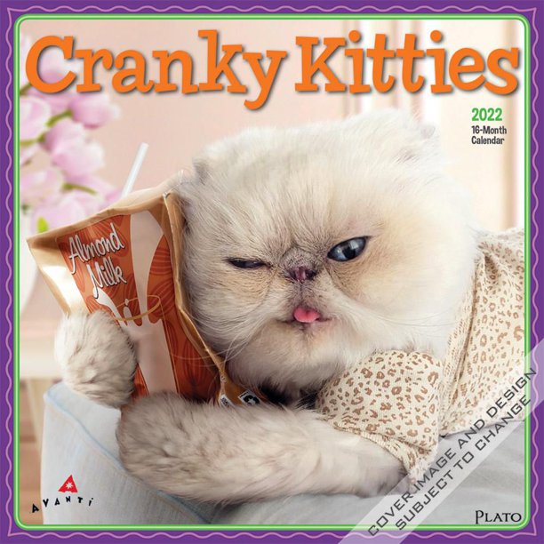 BrownTrout Publishers Avanti Cranky Kitties 2022 12 x 12 Inch Monthly
