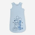 thumbnail image 1 of Mickey Sac De Nuit, 1 of 1