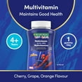 thumbnail image 4 of NATURE'S BOUNTY KIDS Multivitamin, Marvel Spider-Man, Only Sugar, Supports Immune System, Eye Health, Bones, And Teeth, Source of Antioxidants, Gluten-free, Fruit Flavoured Gummies, 4 of 6