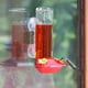 Abreuvoir à colibris en verre de 14 oz pour fenêtre, de Perky-Pet – image 2 sur 9