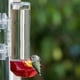 Abreuvoir à colibris en verre de 14 oz pour fenêtre, de Perky-Pet – image 4 sur 9