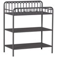thumbnail image 3 of Little Seeds Monarch Hill Ivy Metal Changing Table, 3 of 9