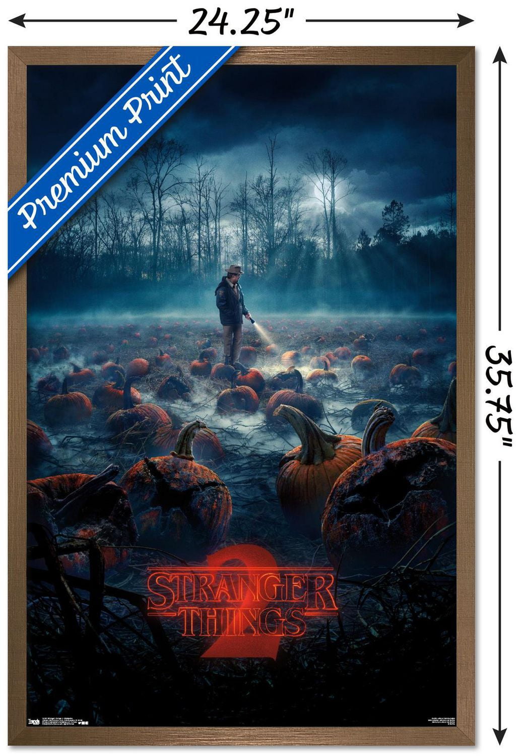 Netflix Stranger Things: Season 2 - Pumpkins Wall Poster, 22.375