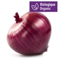 thumbnail image 1 of Oignon rouge biologique, 1 of 2