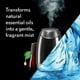Recharge de diffuseur d'huile parfumée Air Wick Essential Mist, Brise d'eaux fraîches, 1 unité, Assainisseur d'air 1 recharge – image 2 sur 9