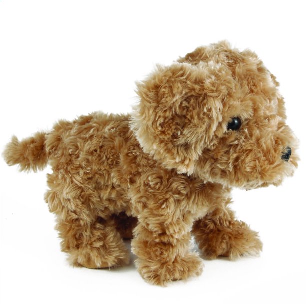 Whimsy Walkers brun goldendoodle
